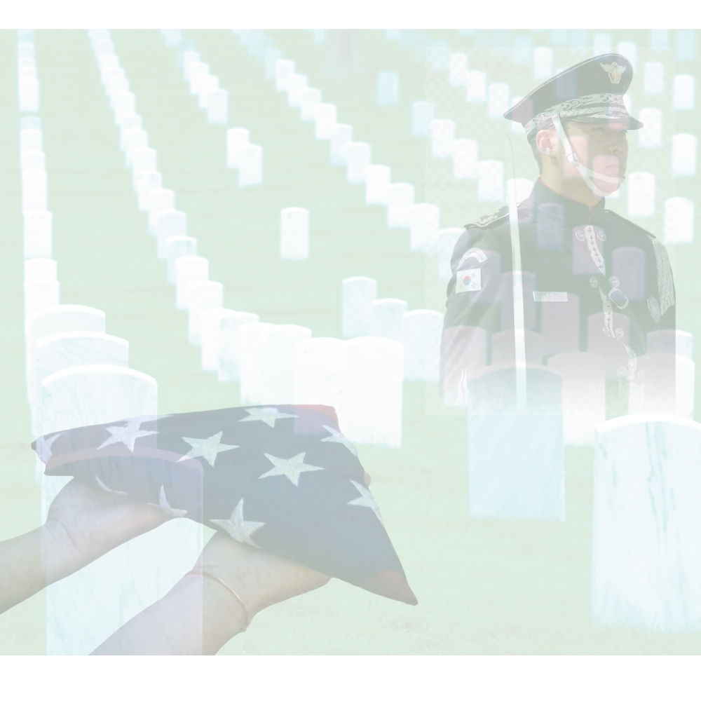folded flag a soldier at Alington Cemetary