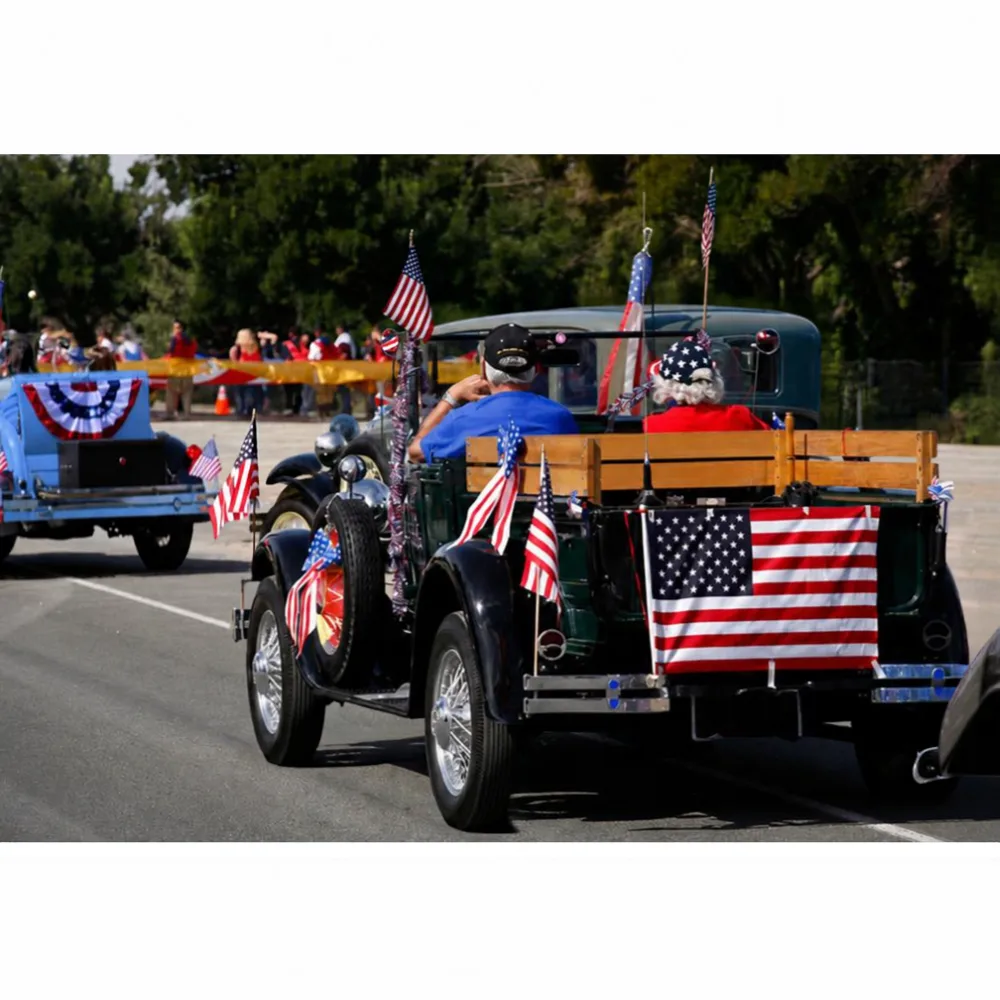 Placeholder — flag in a parade